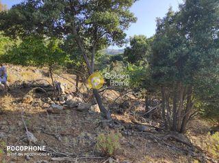 Οικόπεδο 14.666 τ.μ. για πώληση, Ν. Ηρακλείου, Καστέλλι-thumb-9