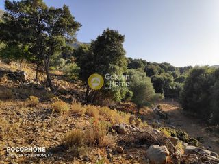 Οικόπεδο 14.666 τ.μ. για πώληση, Ν. Ηρακλείου, Καστέλλι-thumb-2