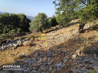 Οικόπεδο 14.666 τ.μ. για πώληση, Ν. Ηρακλείου, Καστέλλι-thumb-22