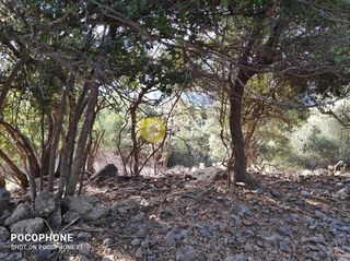 Οικόπεδο 14.666 τ.μ. για πώληση, Ν. Ηρακλείου, Καστέλλι-thumb-3
