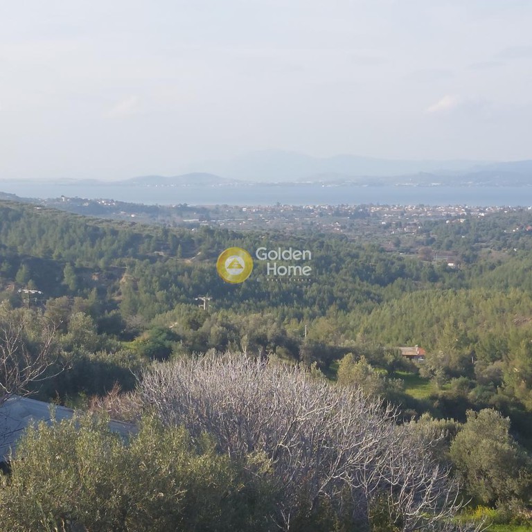 Μονοκατοικία 220 τ.μ. προς πώληση, Μίλεσι