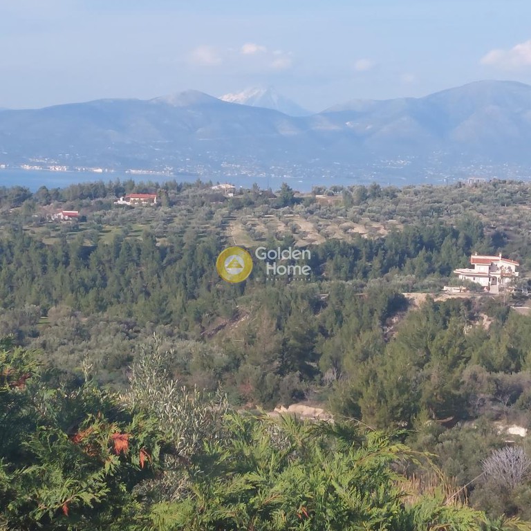 Μονοκατοικία 220 τ.μ. προς πώληση, Μίλεσι