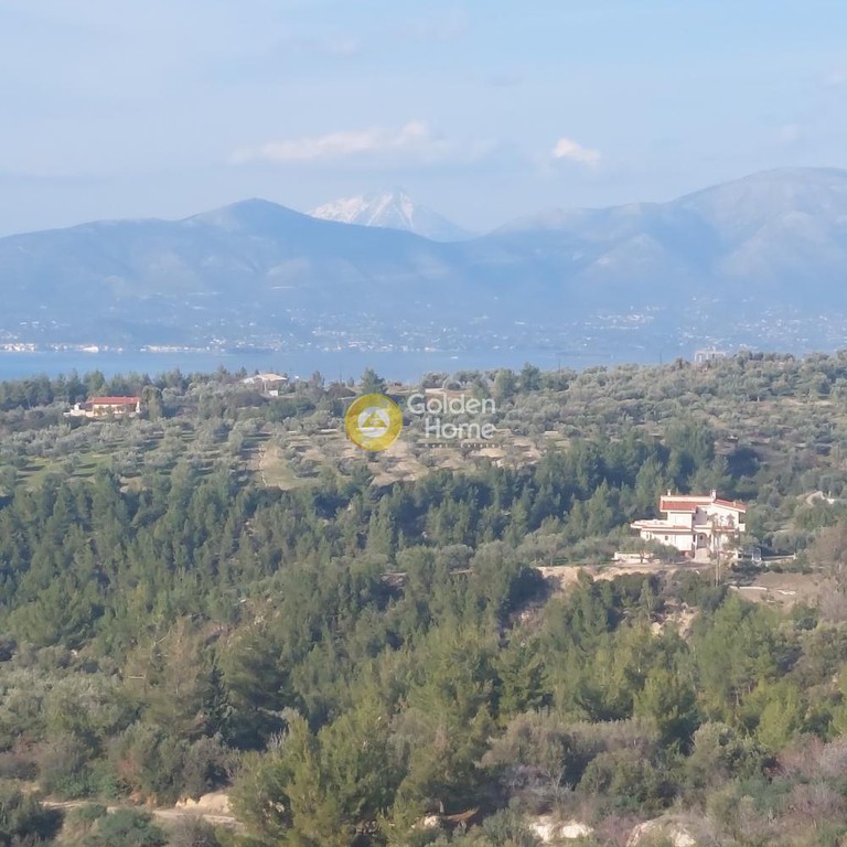 Μονοκατοικία 220 τ.μ. προς πώληση, Μίλεσι