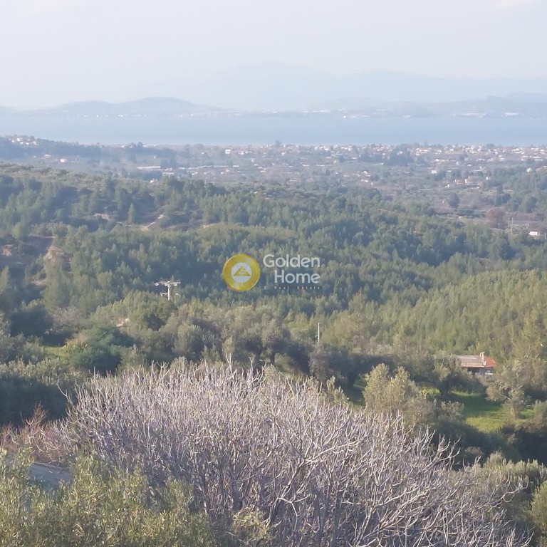 Μονοκατοικία 220 τ.μ. προς πώληση, Μίλεσι