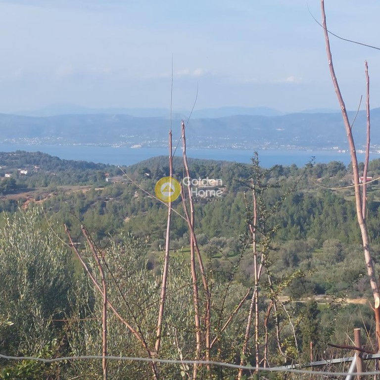 Μονοκατοικία 220 τ.μ. προς πώληση, Μίλεσι