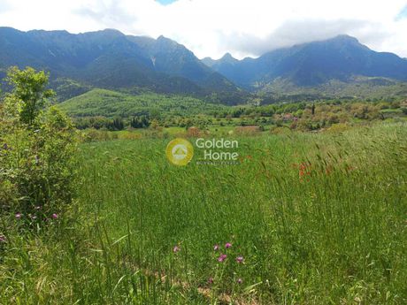 Land plot 3.600sqm for sale-Kalavrita » Manesi