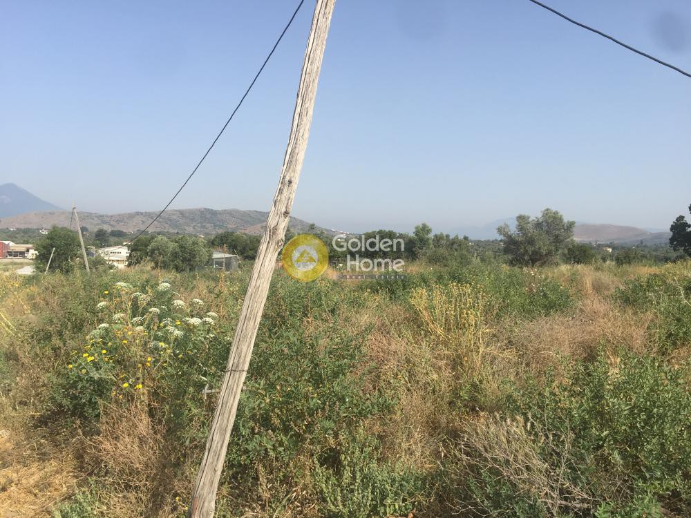 Αγροτεμάχια 25.000 τ.μ. προς πώληση, Βασιλικό Ληλαντίου