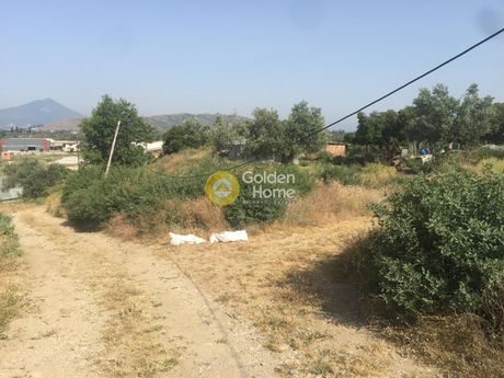 Parcel 25.000sqm for sale-Lilantio » Vasiliko