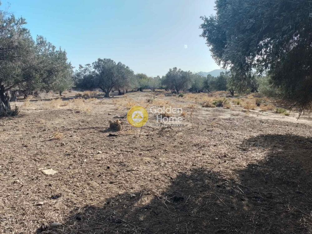 Οικόπεδο 2.000 τ.μ. πρός πώληση, Εύβοια, Κάρυστος