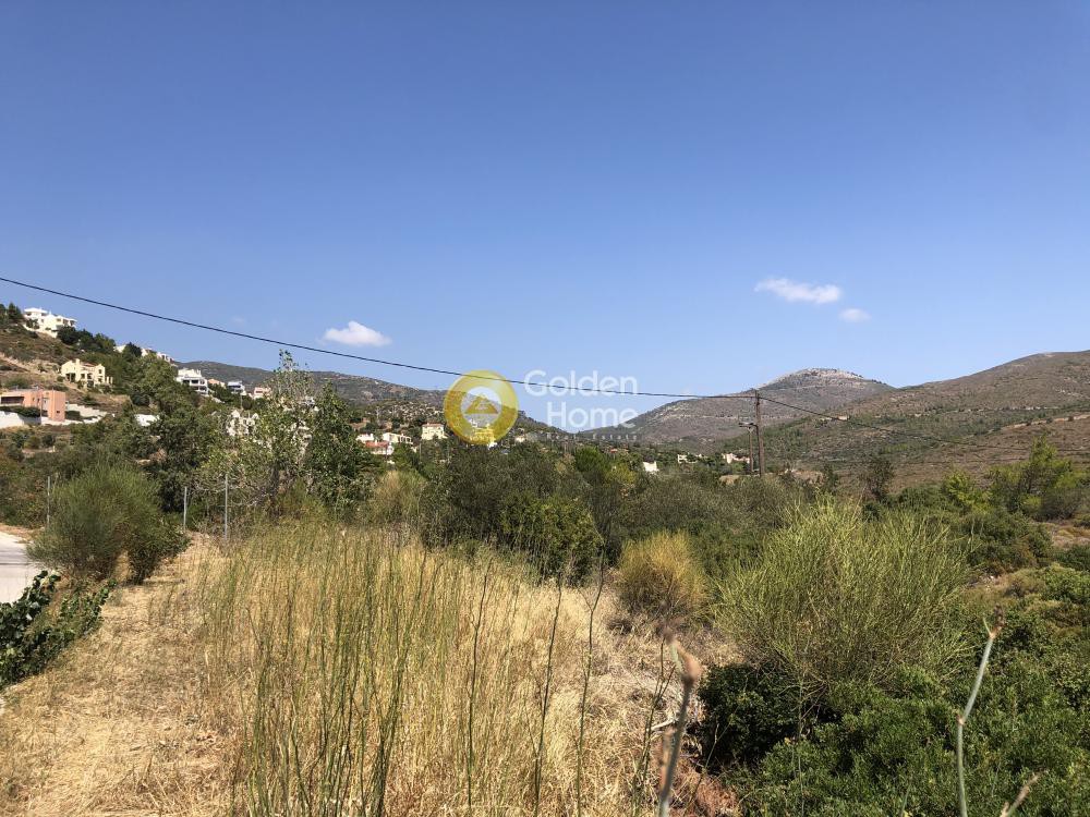 Οικόπεδο 1.481 τ.μ. προς πώληση, Ντράφι
