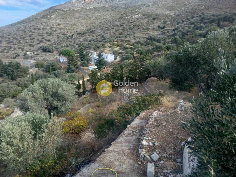 Αγροτεμάχια 4.583 τ.μ. προς πώληση, Κακάπετρα