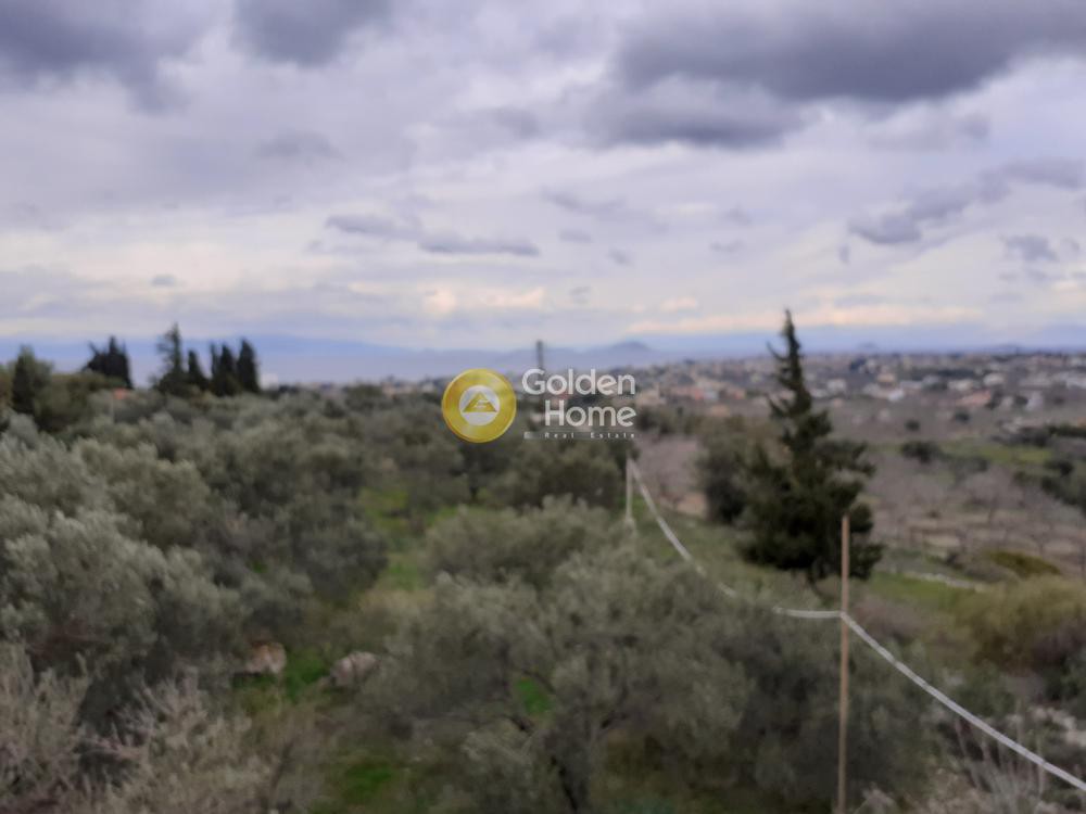 Αγροτεμάχια 2.800 τ.μ. προς πώληση, Καπότηδες
