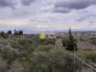Αγροτεμάχια 2.800 τ.μ. για πώληση