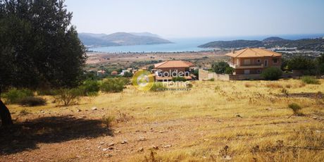 Αγροτεμάχια 850τ.μ. για πώληση-Ανάβυσσος » Μαύρο λιθάρι