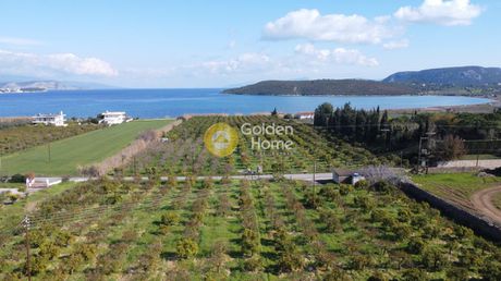Οικόπεδο 9.035τ.μ. για πώληση-Ερμιόνη » Κινέτα
