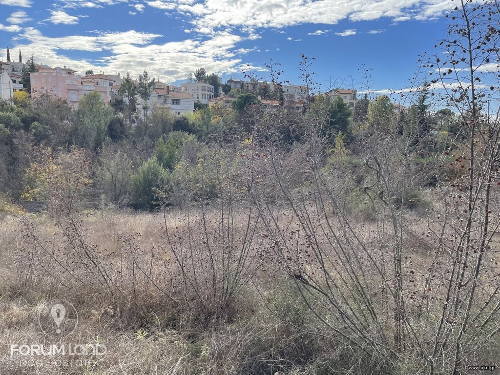 Αγροτεμάχια 2.400 τ.μ. προς πώληση, Οικισμός Τοπογράφων