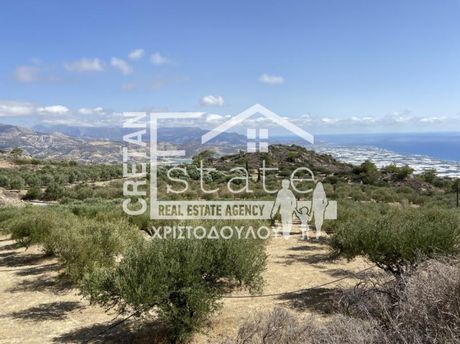 Parcel 12.000 sqm for sale