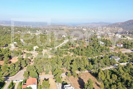 Οικόπεδο 2.362τ.μ. για πώληση-Αφίδνες » Αγία τριάδα