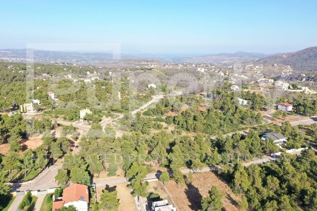 Οικόπεδο 2.362 τ.μ. για πώληση, Αττική - Υπόλοιπο, Αφίδνες