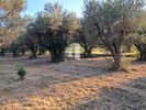 Οικόπεδο 1.500τ.μ. για πώληση-Διακοπτό » Διακοφτό