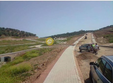Οικόπεδο 360τ.μ. για πώληση-Αρτεμίσιο » Πεύκη