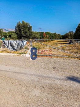 Οικόπεδο 732τ.μ. για πώληση-Χίος » Άγιος μηνάς