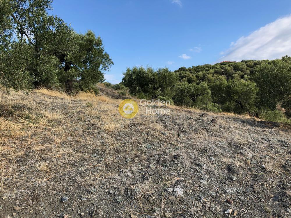 Αγροτεμάχια 6.500 τ.μ. προς πώληση, Νέος Μαρμαράς