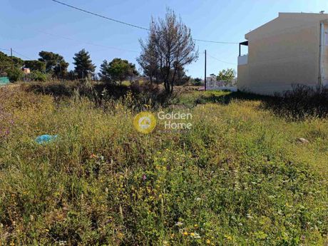 Οικόπεδο 300τ.μ. για πώληση-Ανθούσα