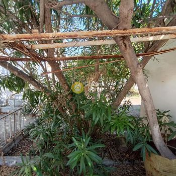 Οικόπεδο 800τ.μ. για πώληση-Σπάτα » Κέντρο