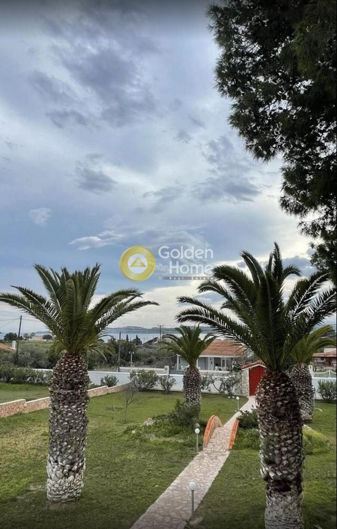Οικόπεδο 4.100 τ.μ. για πώληση, Αργολίδα, Κρανίδι