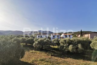 Οικόπεδο 2.500 τ.μ. προς πώληση, Μακρυάμμος-thumb-4