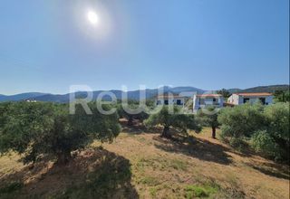 Οικόπεδο 2.500 τ.μ. προς πώληση, Μακρυάμμος-thumb-5