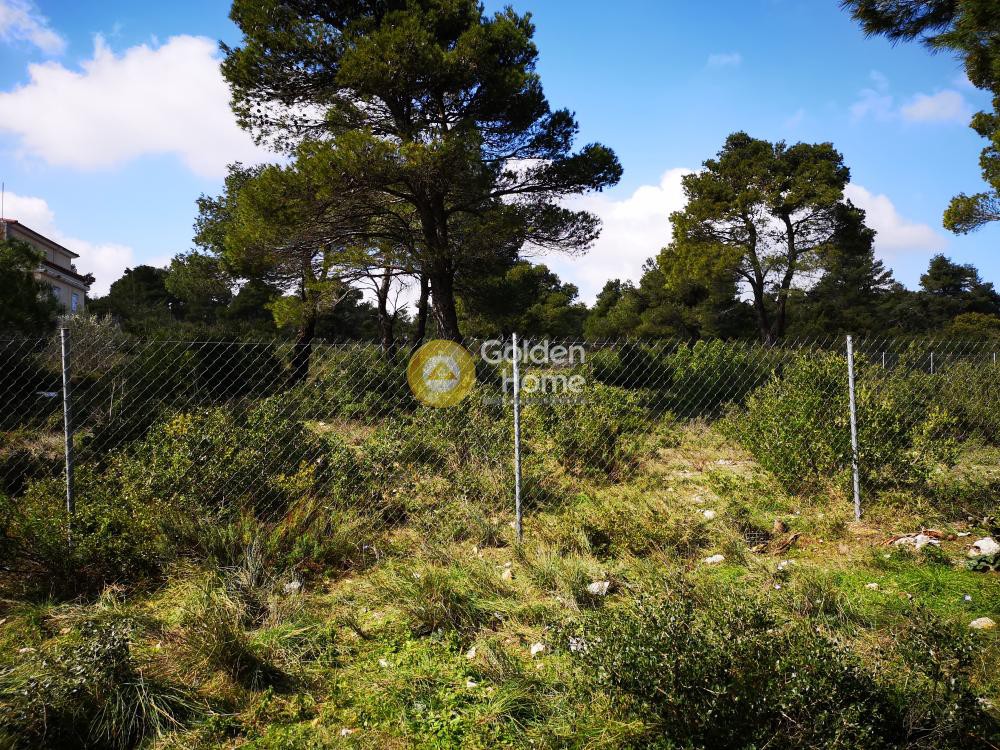Οικόπεδο 2.176 τ.μ. προς πώληση, Αγία Τριάδα Αφιδνών
