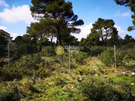 Land plot 2.176sqm for sale-Afidnes » Agia Triada