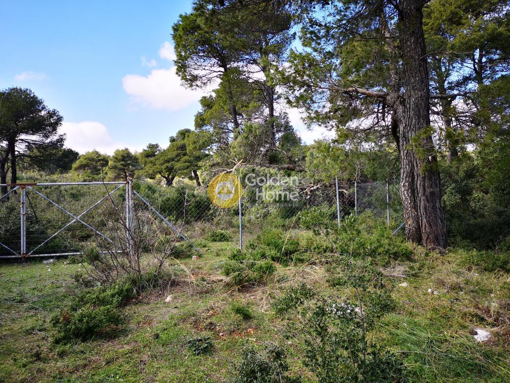Οικόπεδο 2.176 τ.μ. προς πώληση, Αγία Τριάδα Αφιδνών