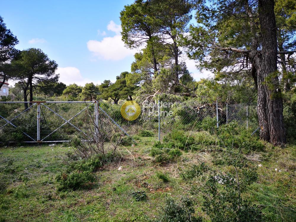 Οικόπεδο 2.176 τ.μ. προς πώληση, Αγία Τριάδα Αφιδνών