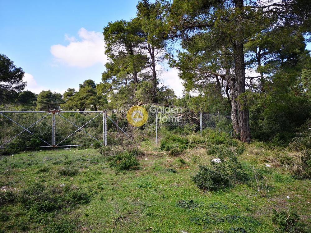 Οικόπεδο 2.176 τ.μ. προς πώληση, Αγία Τριάδα Αφιδνών