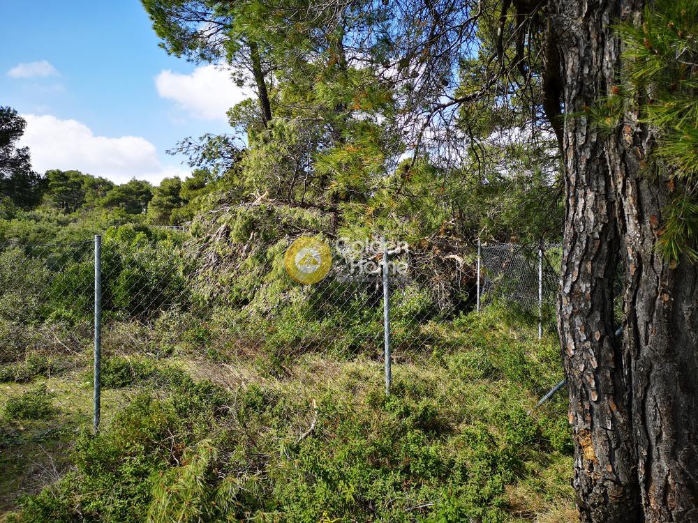 Οικόπεδο 2.176 τ.μ. προς πώληση, Αγία Τριάδα Αφιδνών