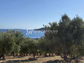 Οικόπεδο 28.000 τ.μ. για πώληση, Μεσσηνία, Μεθώνη-thumb-18