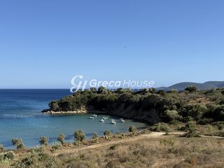 Οικόπεδο 28.000 τ.μ. για πώληση, Μεσσηνία, Μεθώνη-thumb-19