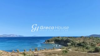 Οικόπεδο 28.000 τ.μ. για πώληση, Μεσσηνία, Μεθώνη-thumb-11