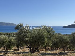 Οικόπεδο 28.000 τ.μ. για πώληση, Μεσσηνία, Μεθώνη-thumb-13