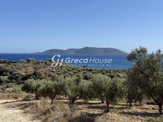 Οικόπεδο 28.000 τ.μ. για πώληση, Μεσσηνία, Μεθώνη-thumb-5