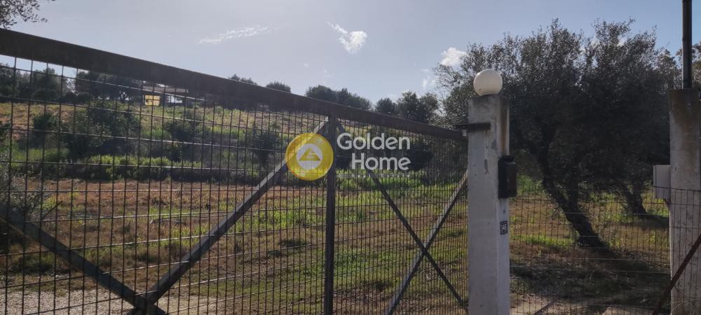 Αγροτεμάχια 7.500 τ.μ. προς πώληση, Παραλία Νιφοραίικων