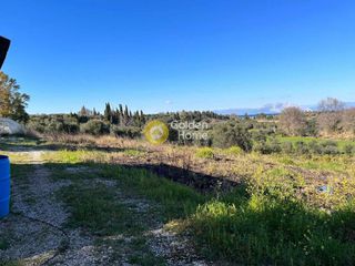 Αγροτεμάχια 7.500 τ.μ. για πώληση