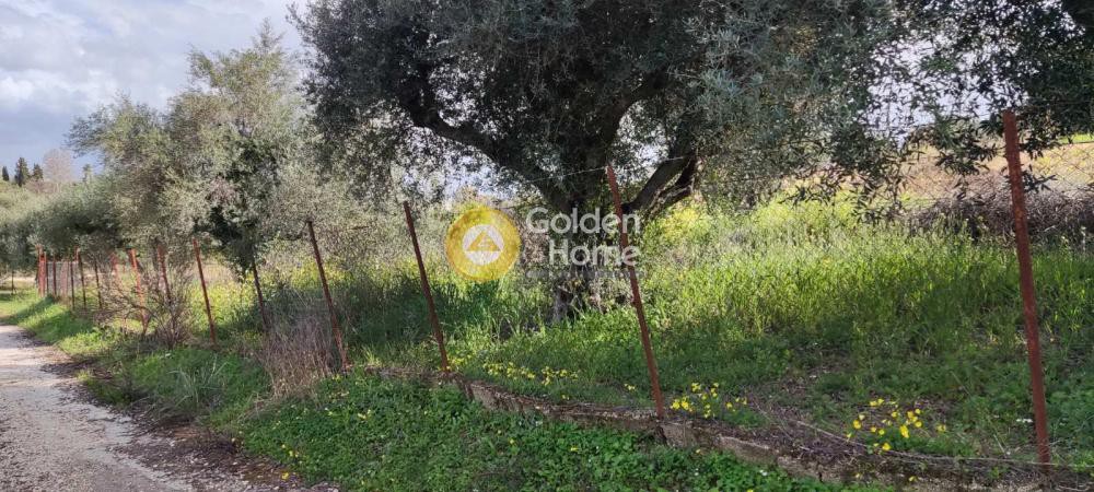 Αγροτεμάχια 7.500 τ.μ. προς πώληση, Παραλία Νιφοραίικων