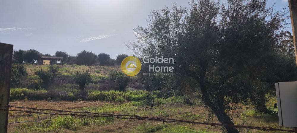 Αγροτεμάχια 7.500 τ.μ. προς πώληση, Παραλία Νιφοραίικων