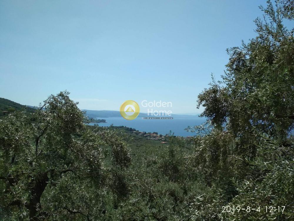 Οικόπεδο 1.014 τ.μ. πρός πώληση, Μαγνησία, Βόλος