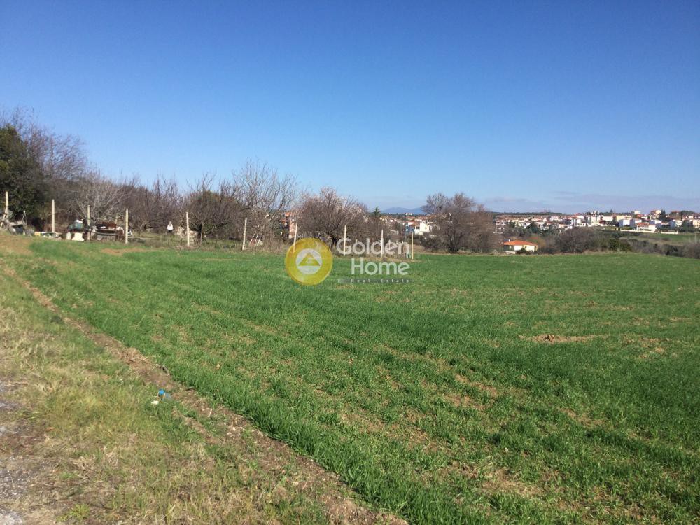 Αγροτεμάχια 4.020 τ.μ. προς πώληση, Μεσημέρι Επανομής