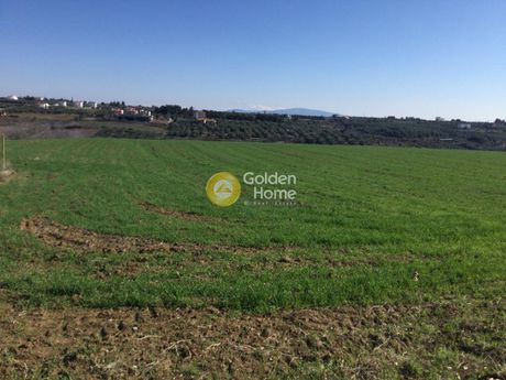 Parcel 4.020sqm for sale-Epanomi » Mesimeri